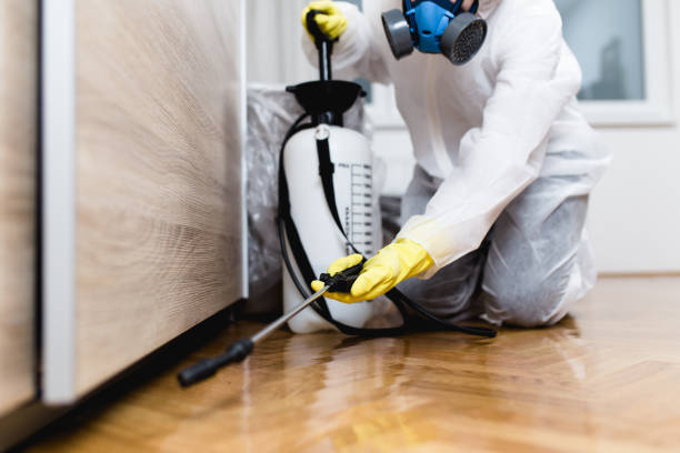 Best Pest Control Near Me in Winnfield, LA