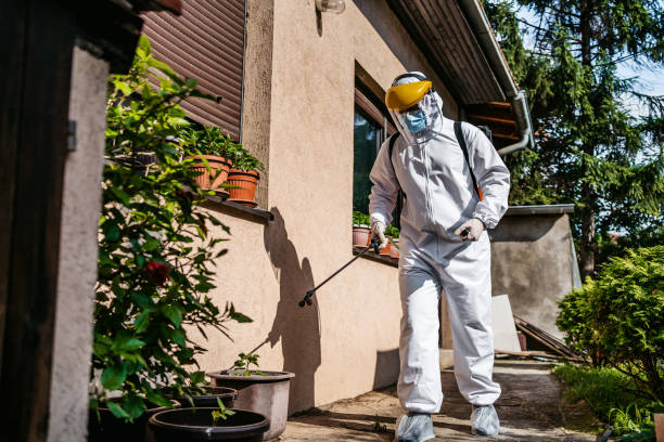 Best Affordable Pest Control Services  in Winnfield, LA