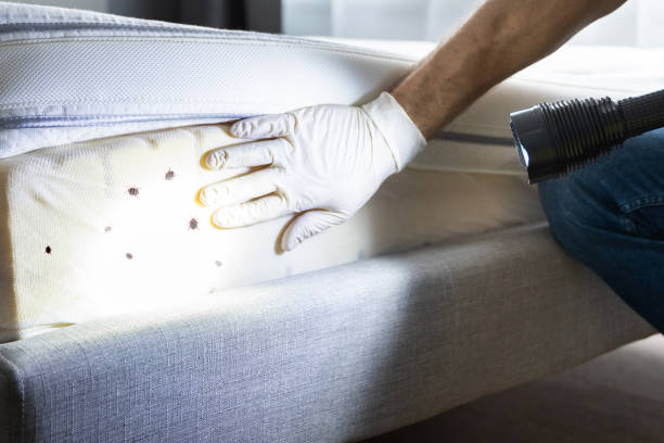 Best Insect Control  in Winnfield, LA