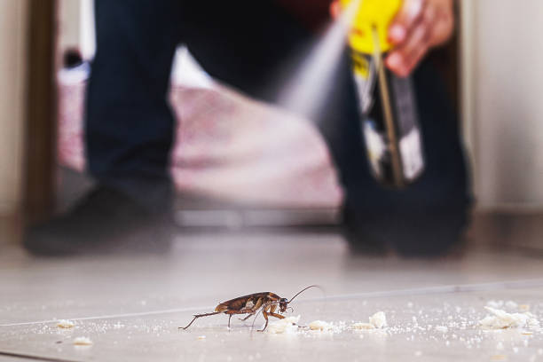 Best Mosquito Control Services  in Winnfield, LA