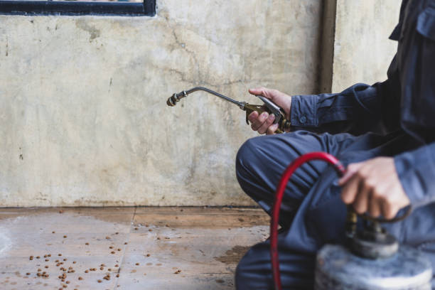 Wasp Removal Services in Winnfield, LA